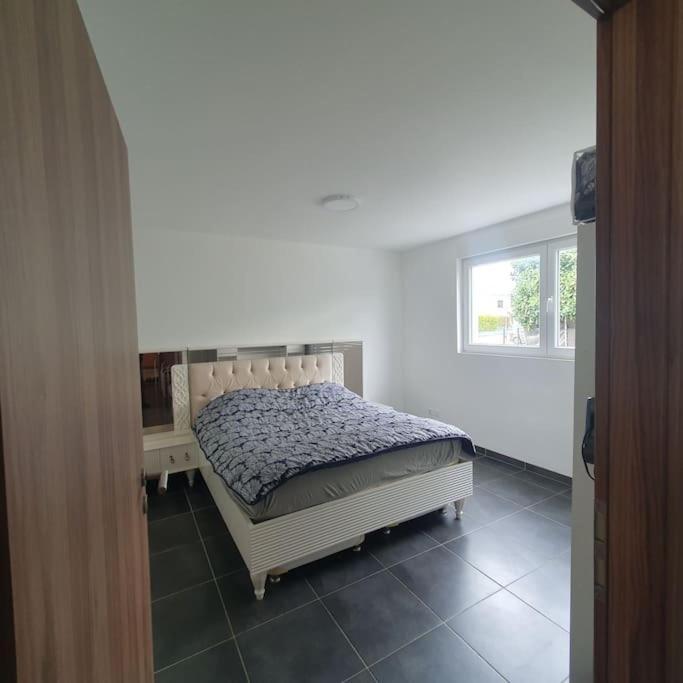 Bel Appartement Rez De Jardin Horbourg ภายนอก รูปภาพ